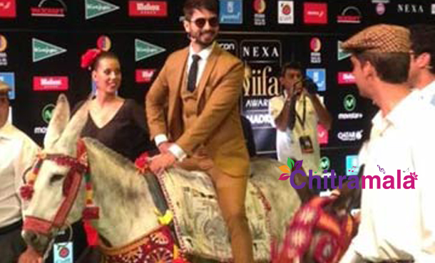 Shahid Kapoor Rides A donkey