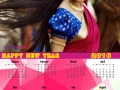 Anushka 2016 Calendar