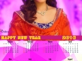 Rashi Khanna 2016 Calendar