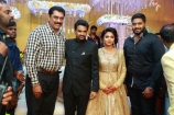 actress-amalapaul-director-alvijay-wedding-reception-photos