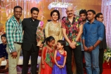 al-vijay-amala-paul-marriage-reception-photos