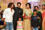 amala-paul-and-al-vijay-marriage-reception-event-photos