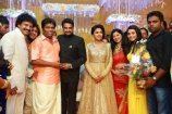 amalapaul-director-alvijay-marriage-reception-photos