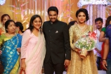 amalapaul-director-alvijay-wedding-reception-photogallery
