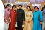 amalapaul-director-alvijay-wedding-reception-photos