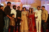 celebrities-at-amala-paul-and-al-vijay-marriage-reception-photos