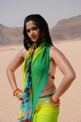 anushka-hot-photos-in-sarees-3