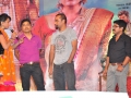 Bhale-Manchi-Roju-Movie-Audio-Launch-Photos