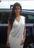 katrina-kaif-sexy-in-white-transaparent-saree