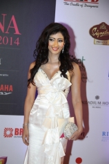 celebrities-at-femina-miss-india-2014-photogallery