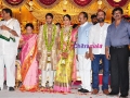 Adiseshagiri-Rao -Son-Marriage-Event-Pics