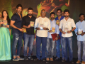 Marakatamani Movie Audio Launch