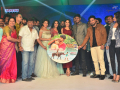 Nakshatram Movie Audio Launch Photo (20)