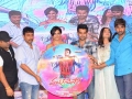 Pandaga-Chesko-Telugu-Movie-Audio-Launch-Photos.jpg