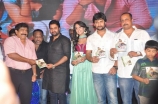 shankara-movie-audio-launch-photos