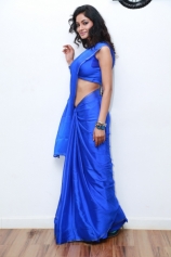 shilpi-sharma-in-blue-saree