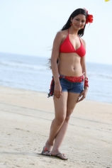 shilpi-sharma-in-red-bikini-photos