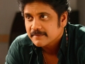 Nagarjuna-Pics-in-SCN-Telugu-Movie