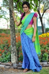 amala-paul-half-saree-photos