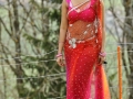 Anushka-Hot-Red-Transparent-Saree