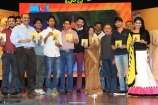 uyyala-jampala-movie-audio-launch-photos-18