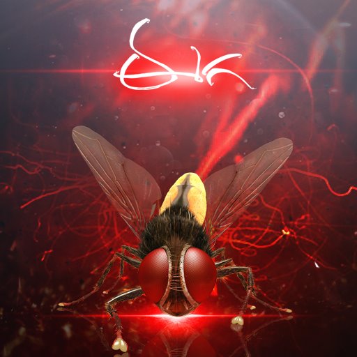 The fly in Eega created havoc in South film industry