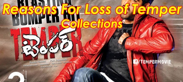 Temper Collections Loss
