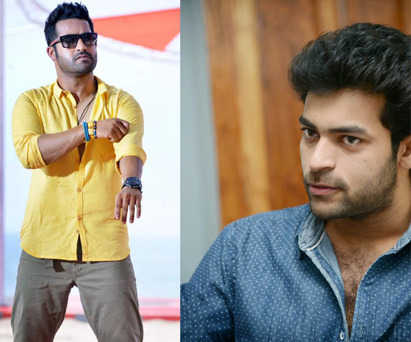 NTR Rejected Loafer Varun Tej Accepted