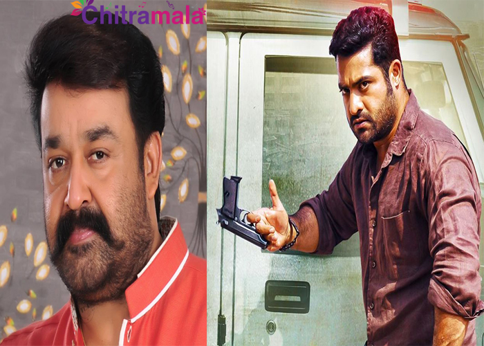 Mohan Lal in NTR's Next Film