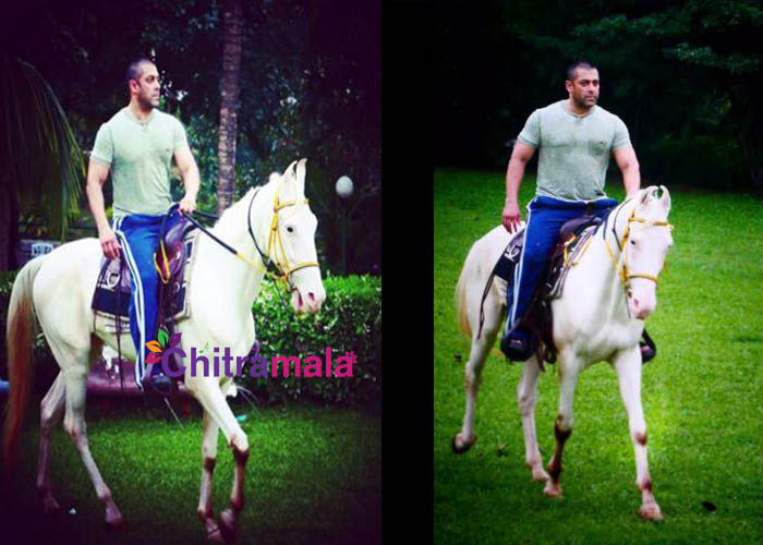 Salman Khan riding a horse