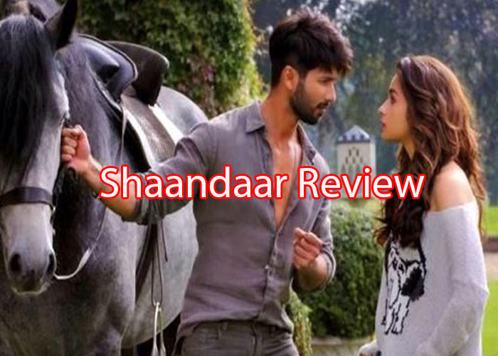Shaandaar Review