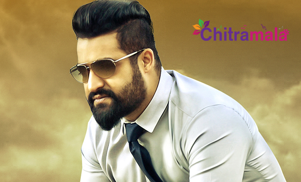 NTR To Test His Luck in Tamil | NTR Updates