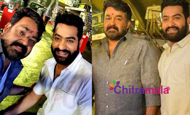 Mohanlal Gift to Jr NTR