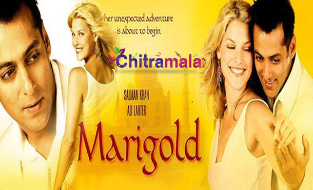 Salman Khan in Marigold