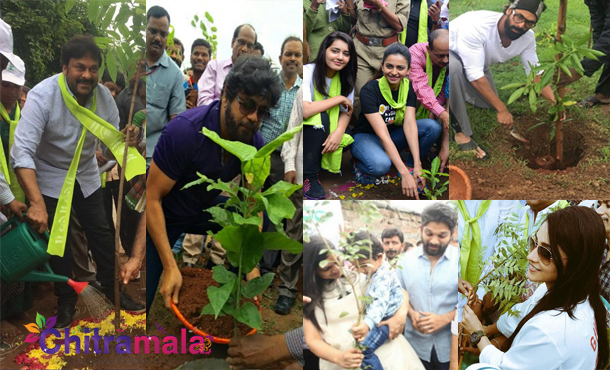 Celebrities Planting for Haritha Haram