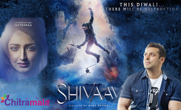 Salman in Shivaay