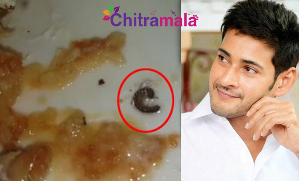 Insect in Mahesh Babu Lunch