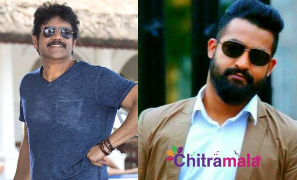Nag comments about NTR’s Bigg Boss show