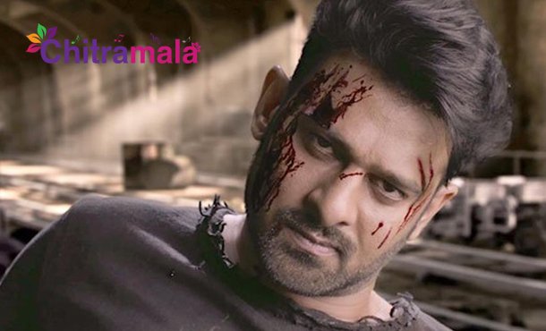 Prabhas role in Saaho