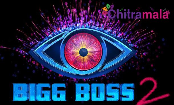 Bigg Boss Telugu Season 2 Contestants List