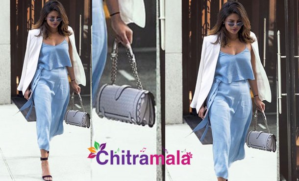 Priyanka Chopra Handbag Cost