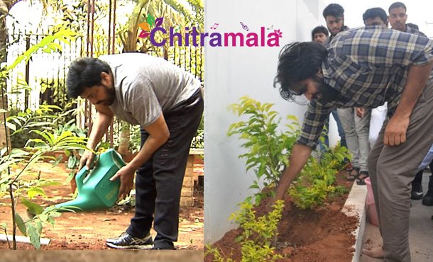 Pawan Kalyan and Chiranjeevi Green Challenge