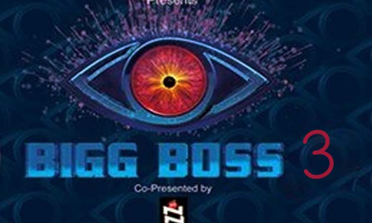 Bigg Boss 3 Telugu Contestants